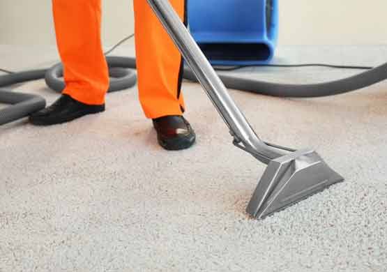 effective carpet cleaning service bonner